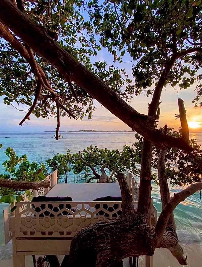 Samura Maldives Guest House Thulusdhoo Exteriör bild