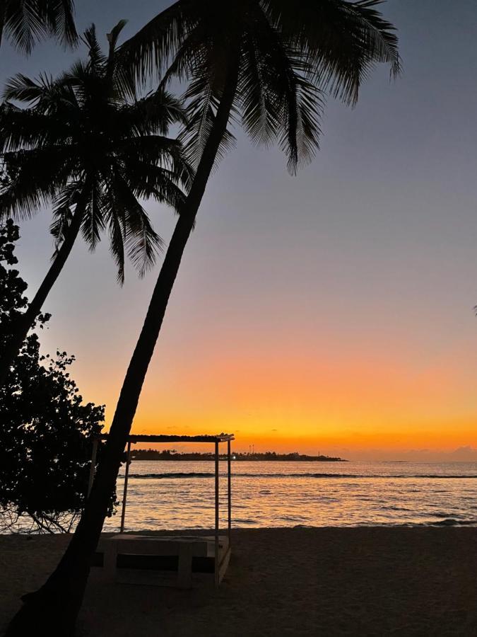 Samura Maldives Guest House Thulusdhoo Exteriör bild