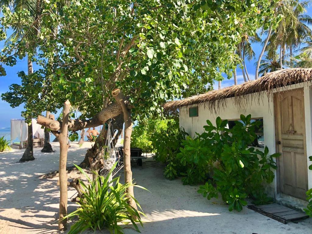 Samura Maldives Guest House Thulusdhoo Exteriör bild