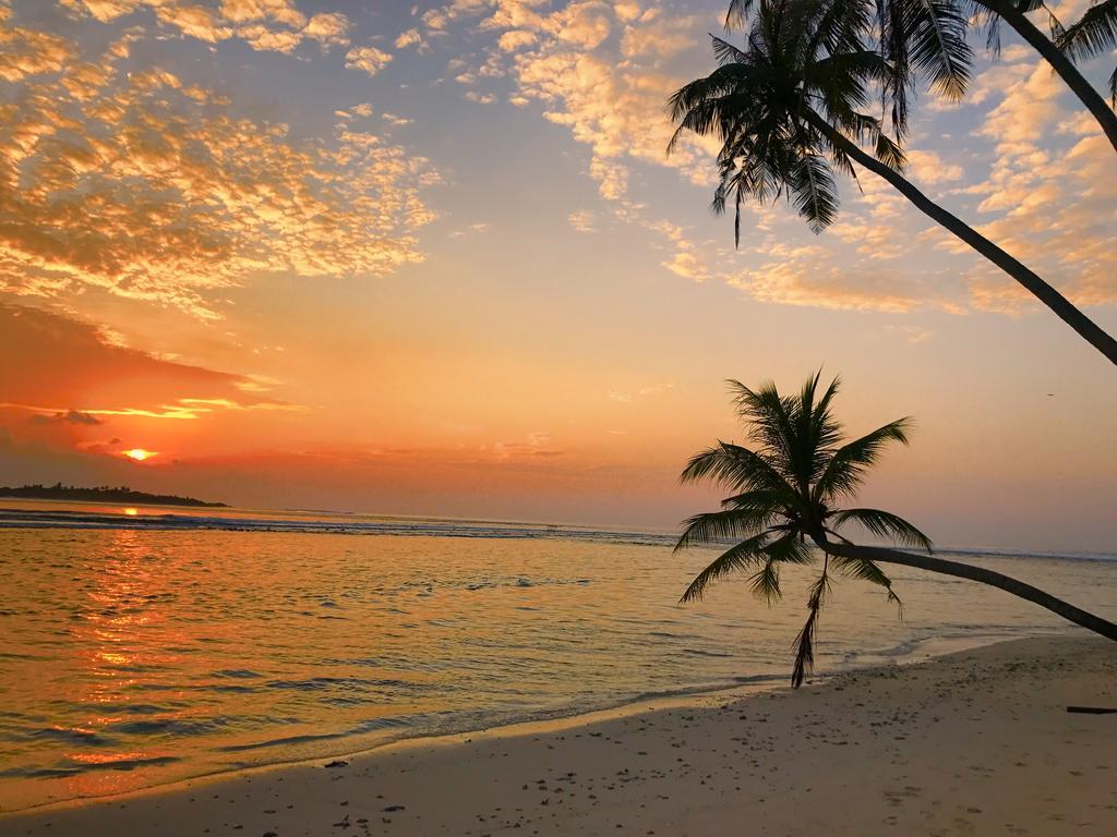 Samura Maldives Guest House Thulusdhoo Exteriör bild